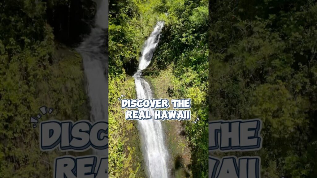 Bespoke Adventure Hiking & Hidden Waterfall Excursions Near Mexico City
